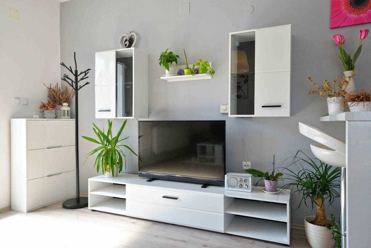 Apartment Kristina Murter Dış mekan fotoğraf